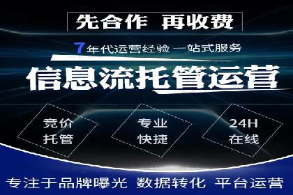 百度竞价排名机制：成功案例与策略探讨